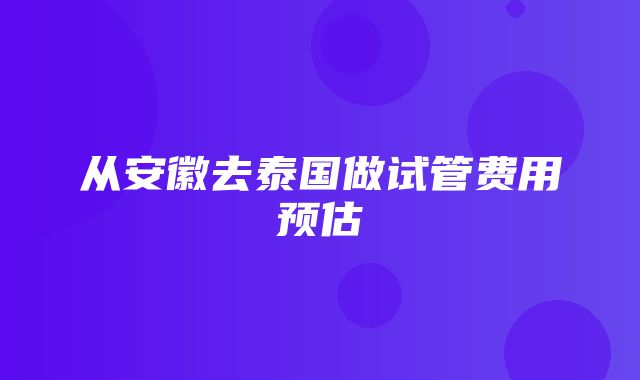 从安徽去泰国做试管费用预估