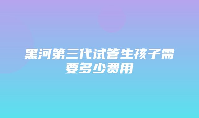 黑河第三代试管生孩子需要多少费用