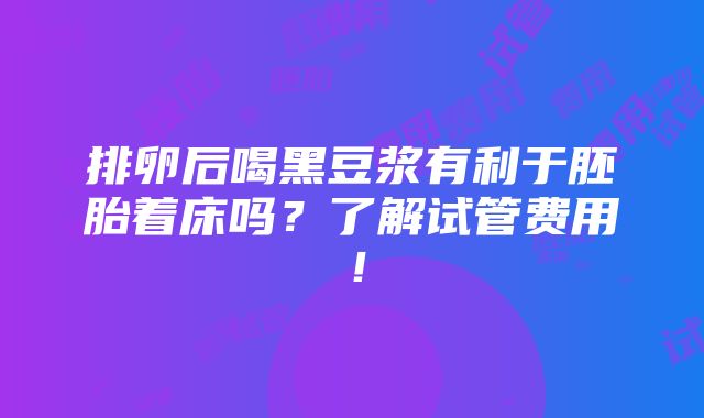 排卵后喝黑豆浆有利于胚胎着床吗？了解试管费用！