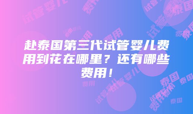 赴泰国第三代试管婴儿费用到花在哪里？还有哪些费用！