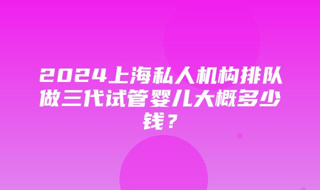 2024上海私人机构排队做三代试管婴儿大概多少钱？