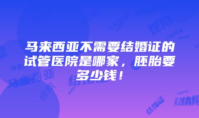 马来西亚不需要结婚证的试管医院是哪家，胚胎要多少钱！