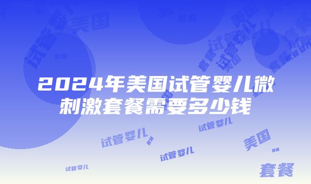 2024年美国试管婴儿微刺激套餐需要多少钱