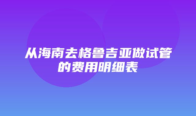 从海南去格鲁吉亚做试管的费用明细表