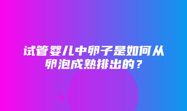 试管婴儿中卵子是如何从卵泡成熟排出的？