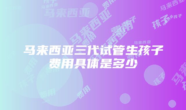 马来西亚三代试管生孩子费用具体是多少