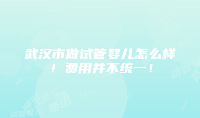 武汉市做试管婴儿怎么样！费用并不统一！