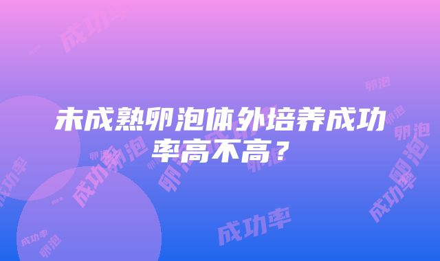 未成熟卵泡体外培养成功率高不高？