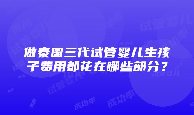 做泰国三代试管婴儿生孩子费用都花在哪些部分？