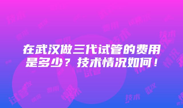 在武汉做三代试管的费用是多少？技术情况如何！