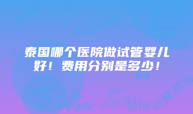 泰国哪个医院做试管婴儿好！费用分别是多少！