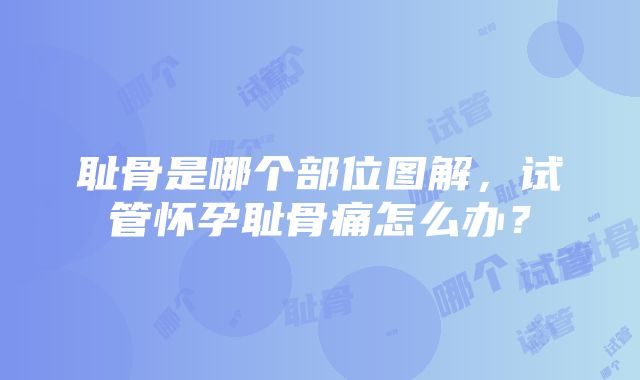 耻骨是哪个部位图解，试管怀孕耻骨痛怎么办？