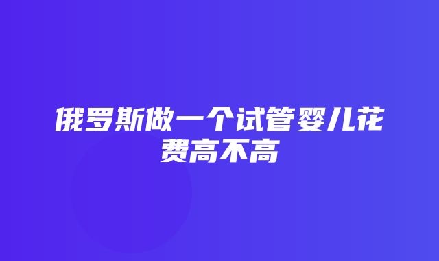 俄罗斯做一个试管婴儿花费高不高