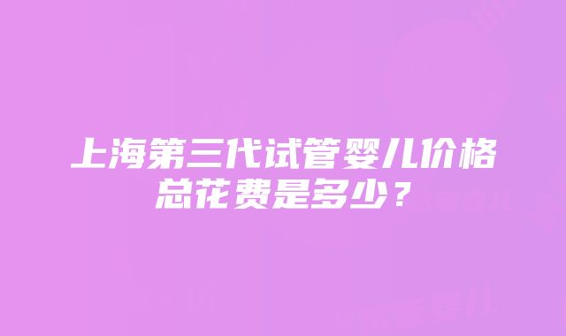 上海第三代试管婴儿价格总花费是多少？