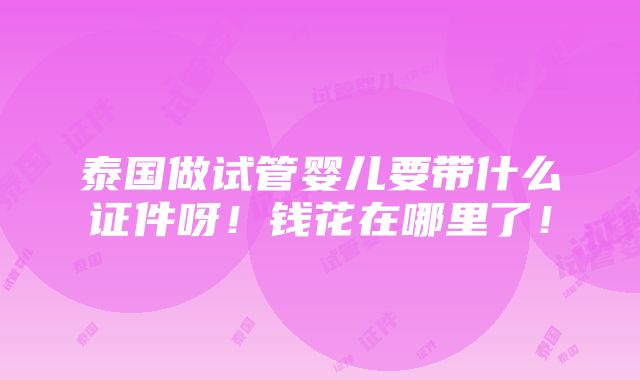 泰国做试管婴儿要带什么证件呀！钱花在哪里了！