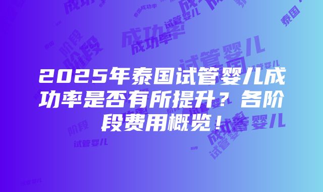 2025年泰国试管婴儿成功率是否有所提升？各阶段费用概览！