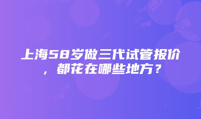 上海58岁做三代试管报价，都花在哪些地方？