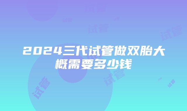 2024三代试管做双胎大概需要多少钱