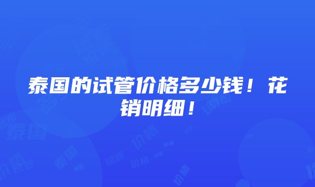 泰国的试管价格多少钱！花销明细！