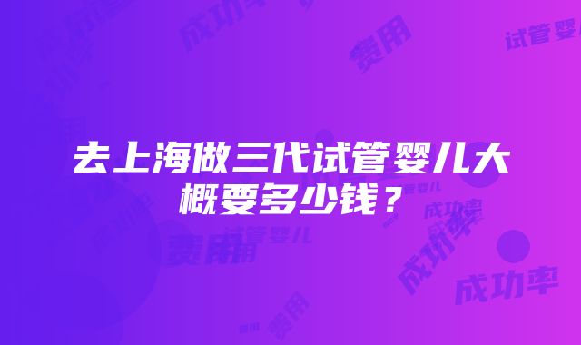 去上海做三代试管婴儿大概要多少钱？