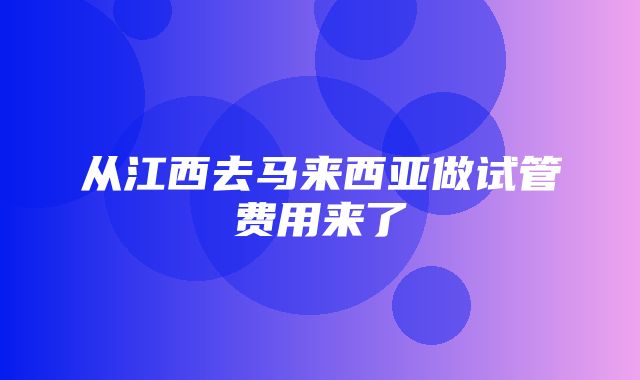 从江西去马来西亚做试管费用来了