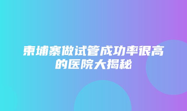 柬埔寨做试管成功率很高的医院大揭秘