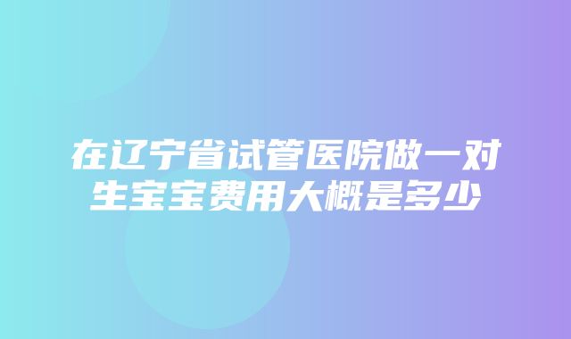 在辽宁省试管医院做一对生宝宝费用大概是多少