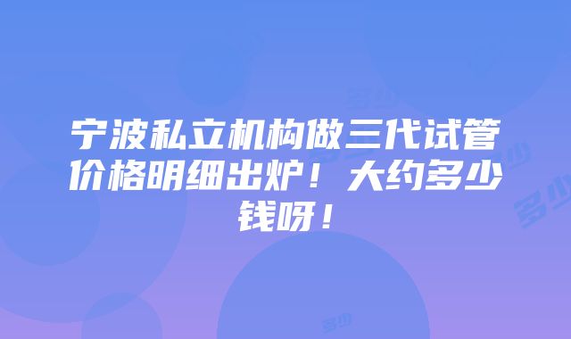 宁波私立机构做三代试管价格明细出炉！大约多少钱呀！