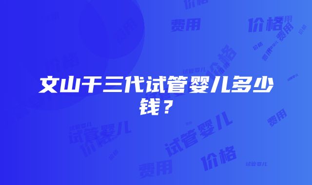 文山干三代试管婴儿多少钱？