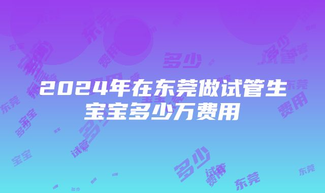 2024年在东莞做试管生宝宝多少万费用