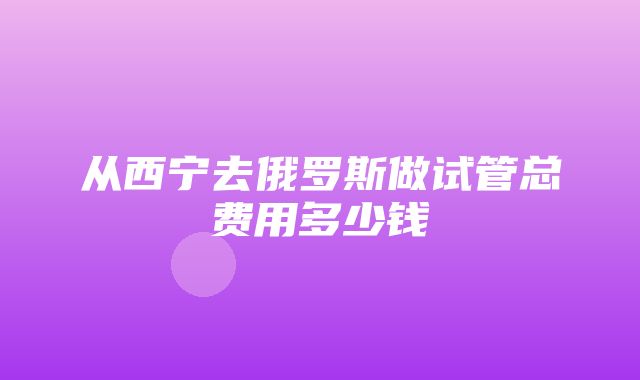 从西宁去俄罗斯做试管总费用多少钱