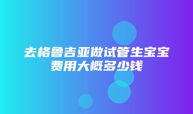 去格鲁吉亚做试管生宝宝费用大概多少钱