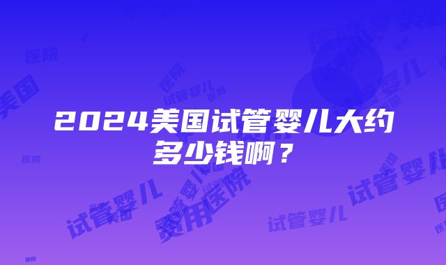 2024美国试管婴儿大约多少钱啊？