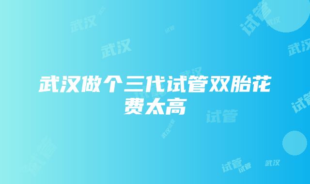 武汉做个三代试管双胎花费太高