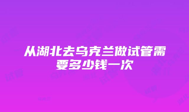 从湖北去乌克兰做试管需要多少钱一次