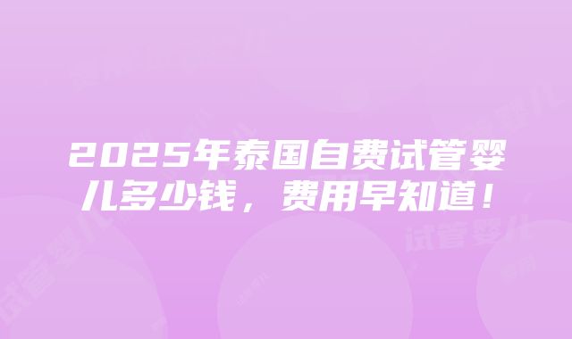 2025年泰国自费试管婴儿多少钱，费用早知道！