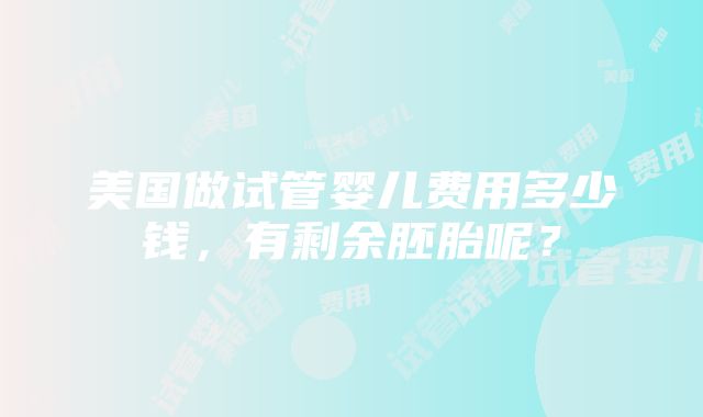 美国做试管婴儿费用多少钱，有剩余胚胎呢？