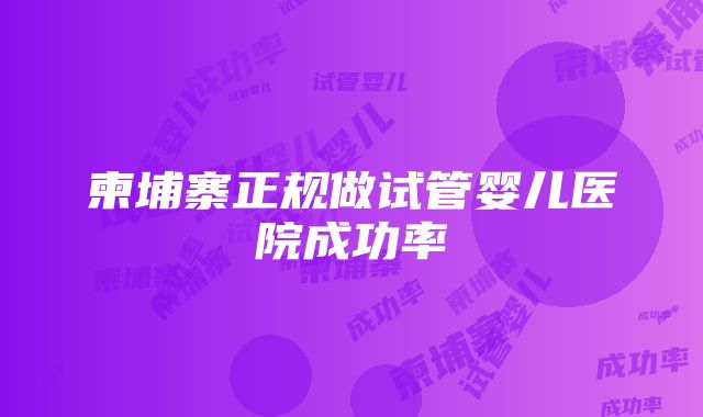 柬埔寨正规做试管婴儿医院成功率