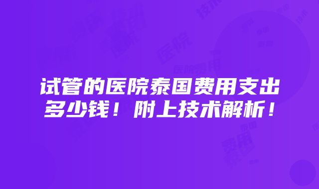 试管的医院泰国费用支出多少钱！附上技术解析！