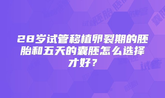 28岁试管移植卵裂期的胚胎和五天的囊胚怎么选择才好？