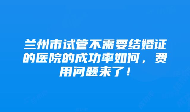 兰州市试管不需要结婚证的医院的成功率如何，费用问题来了！