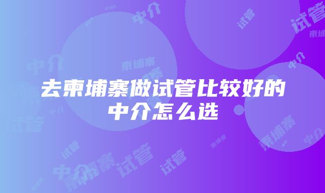 去柬埔寨做试管比较好的中介怎么选