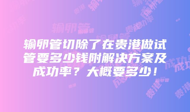 输卵管切除了在贵港做试管要多少钱附解决方案及成功率？大概要多少！