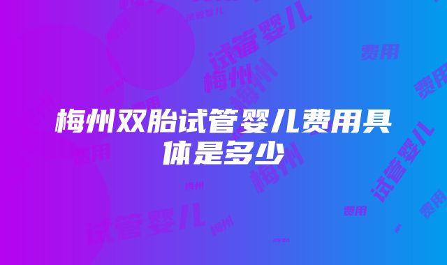 梅州双胎试管婴儿费用具体是多少