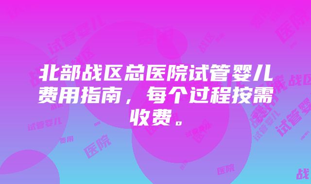 北部战区总医院试管婴儿费用指南，每个过程按需收费。