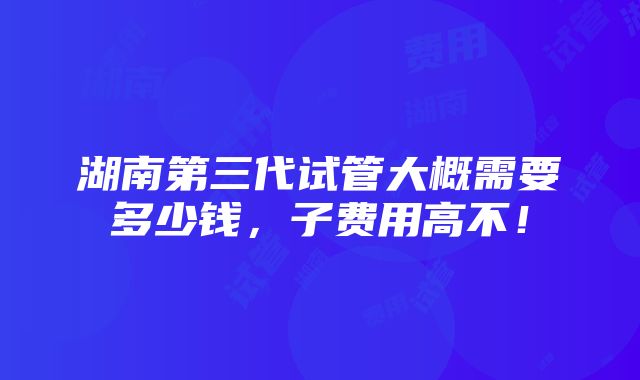 湖南第三代试管大概需要多少钱，子费用高不！