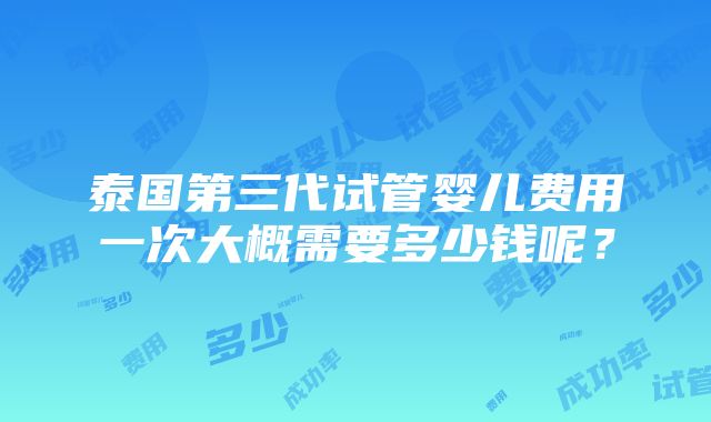 泰国第三代试管婴儿费用一次大概需要多少钱呢？