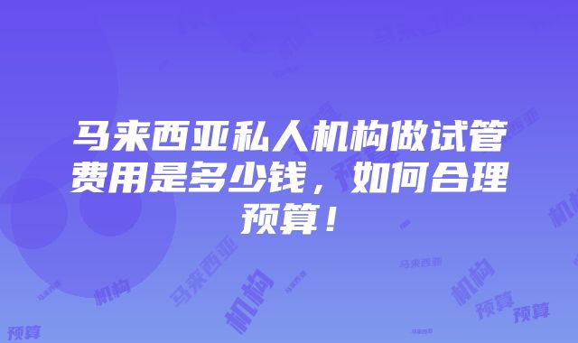 马来西亚私人机构做试管费用是多少钱，如何合理预算！