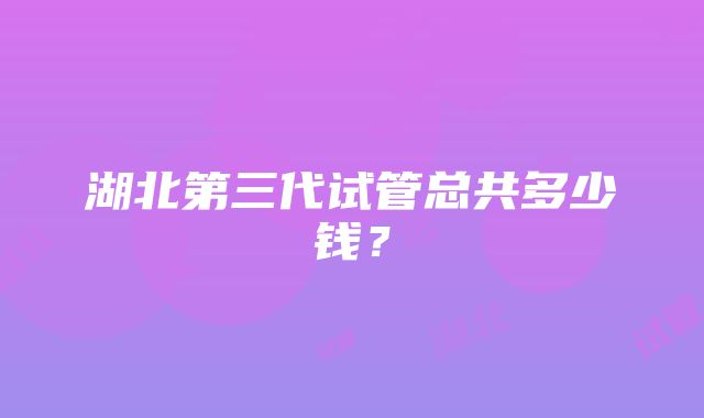 湖北第三代试管总共多少钱？