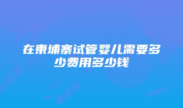 在柬埔寨试管婴儿需要多少费用多少钱